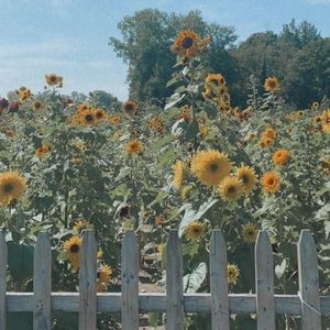 Meet your Posher, Marissa